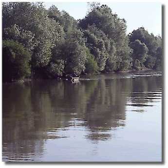 Delta del Danubio